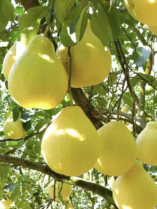 八桂秋韵！举起相机，把广西秋色拍成旅行基金！