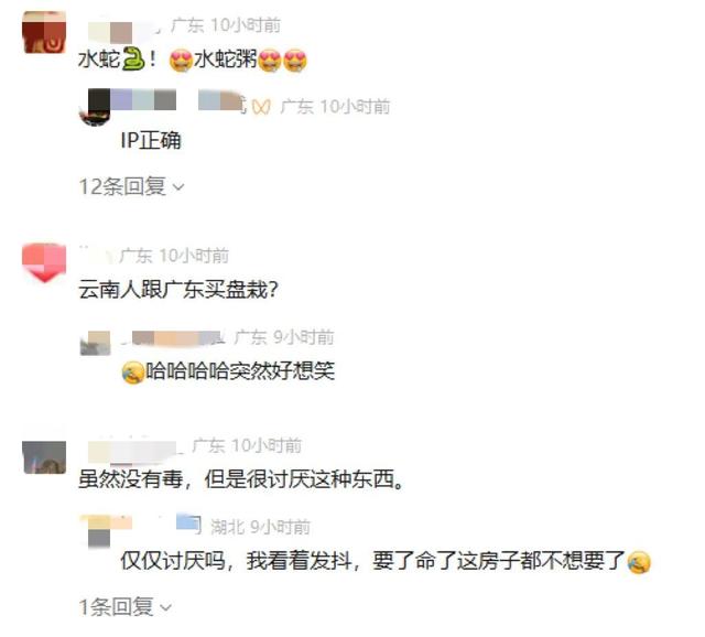吓人！夫妻旅游回家，一开门发现客厅变“蛇窝”，大小10条爬满地……