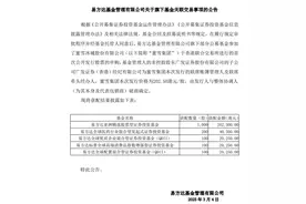“顶流”基金经理中签蜜雪冰城，公募涌入新消费赛道图片