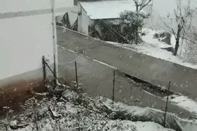 下！雪！了！四川“冬日”限时返场！本次沙尘天气何时结束？图片