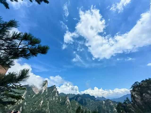 为期一周，南阳老界岭景区向全国游客免门票！