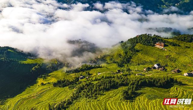 娄底入境旅游推介会倒计时3天！紫鹊界梯田向世界发出邀约