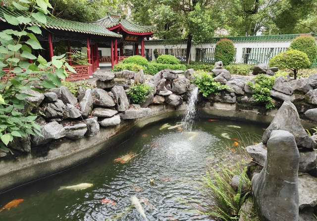 大湾区国庆游“天花板”！福田街道这 3 条宝藏路线速收藏