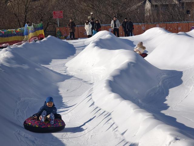 海淀春节文旅主打“繁花+科技”，留言赠票，无限畅玩