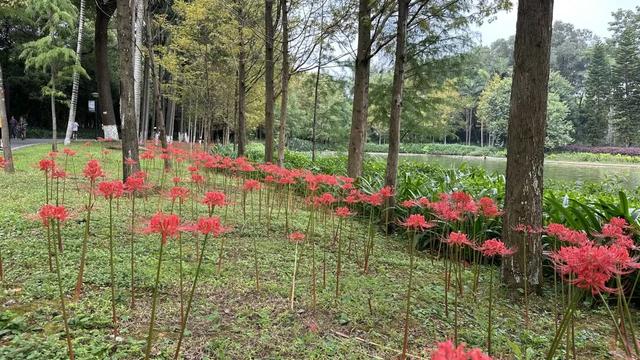 柳北烟火 | 趣游雀儿山 →赏花、娱乐、观鸟一站式攻略奉上！