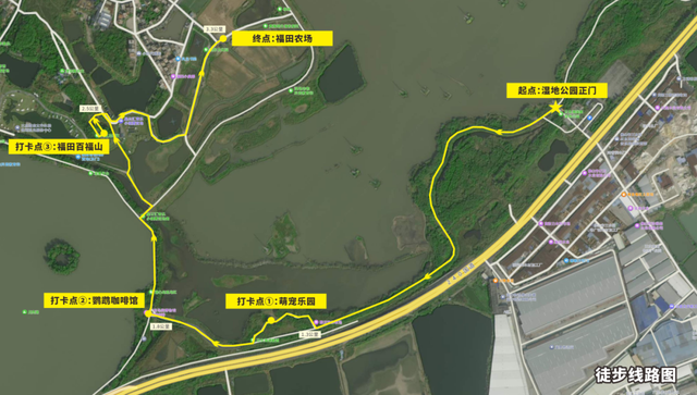 来三水见明星、听音乐会、看烟花汇演！2026年元旦活动准备好了！