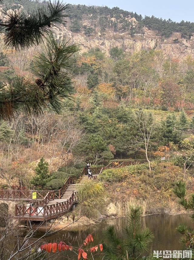 浮山南麓，藏着青岛最美冬日