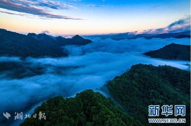 茅箭：云海翻涌似仙境