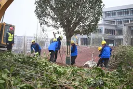 加强央地合作  这家央企助力成渝地区双城经济圈建设图片