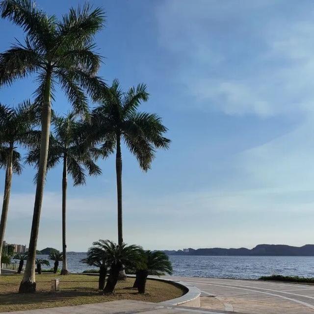 来防城港公园漫步，感受20min公园效应，在山海间诗意地栖居
