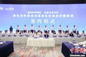 重庆沙坪坝区与成都武侯区签署一揽子合作协议图片