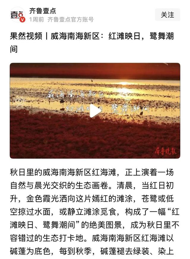 南海红海滩刷屏 网友争相打卡