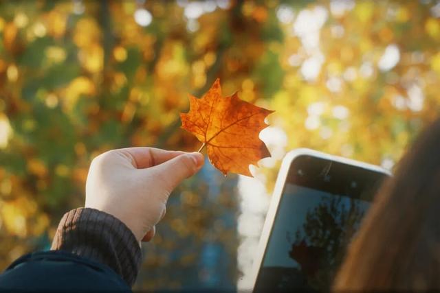 看，延吉秋景深藏诗意！