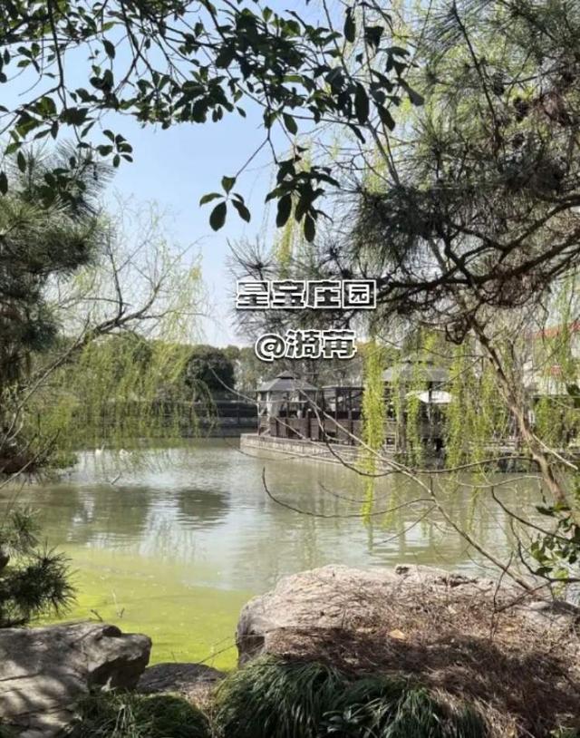 浦东板块高评价宝藏遛狗地分享--持续更新