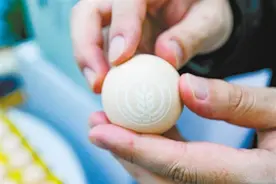 智慧科技为农业生产带来“新招式”图片