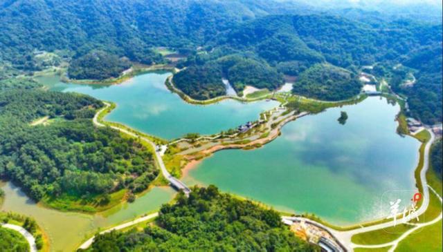 广州已建成碧道1456公里，绿意蓝调间畅享清凉夏日