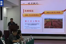 聚焦史前和夏文化考古项目 国家文物局公布重要进展图片