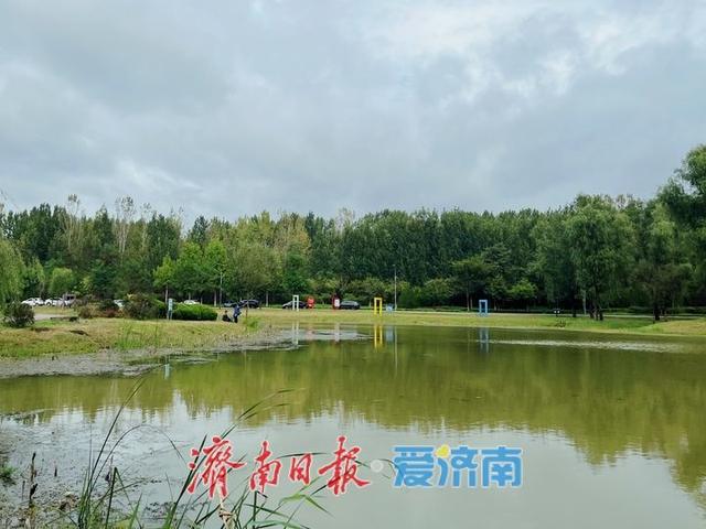 一年四季 泉在济南丨雨霁初晴 湿地公园展绝美“生态画卷”
