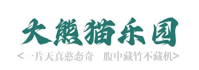 【2026成都冬令营】雪韵蓉趣，嗨玩蜀冬：解锁巴适成都生活！