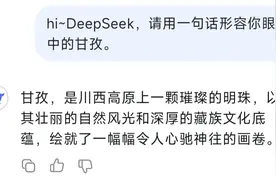 火爆全网！随DeepSeek一起畅游甘孜！图片