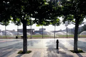 大象家长圈|北外喊话郑外外语保送生，不要只看985名头图片