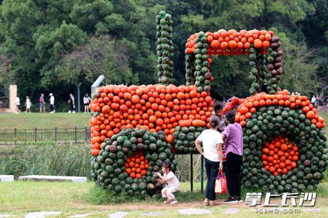 组图｜快乐拉满！长沙园林生态园内，南瓜雕塑稻草人恐龙都来了