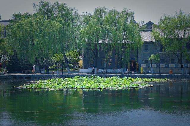 我的济南，我的故园 | 我在济南刚刚好