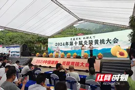 2024第十届炎陵黄桃大会开幕图片