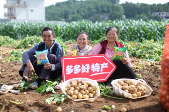 拼多多发布Q2财报，“千亿扶持”生态效用显现，供需两侧实现高质量发展