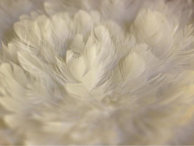 北京号最精彩 | 太惊喜！京城第一波蜡梅开啦！位置就在——