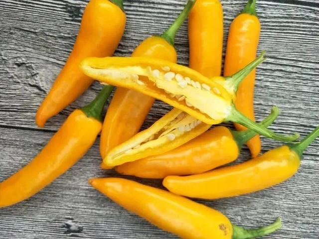 它都这么美了！差点忘记推给你了