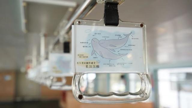 突破18亿！“真实版”就在南京