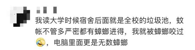 头皮发麻！蟑螂会咬人？专家说……