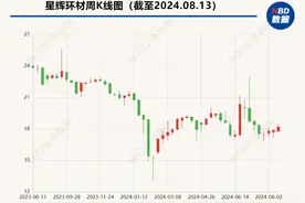 拆解星辉环材2024年半年报：毛利率尚未回到历史高位 利息收入成当期利润重要来源图片
