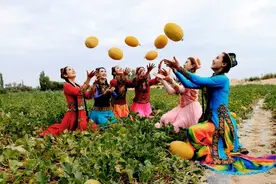 何以哈密瓜！图片