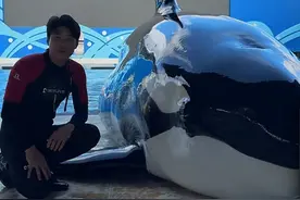 月入过万！一公园带薪“摸鱼”岗全国招聘，无需专业背景图片