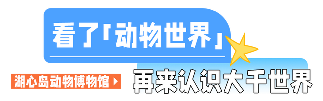 暑假余额告急！最后一波，玩透东湖！