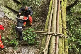 潮评丨2万元救援费，能否治住一些驴友的“驴脾气”图片