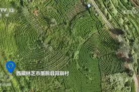 焦点访谈：路通墨脱 十年巨变图片