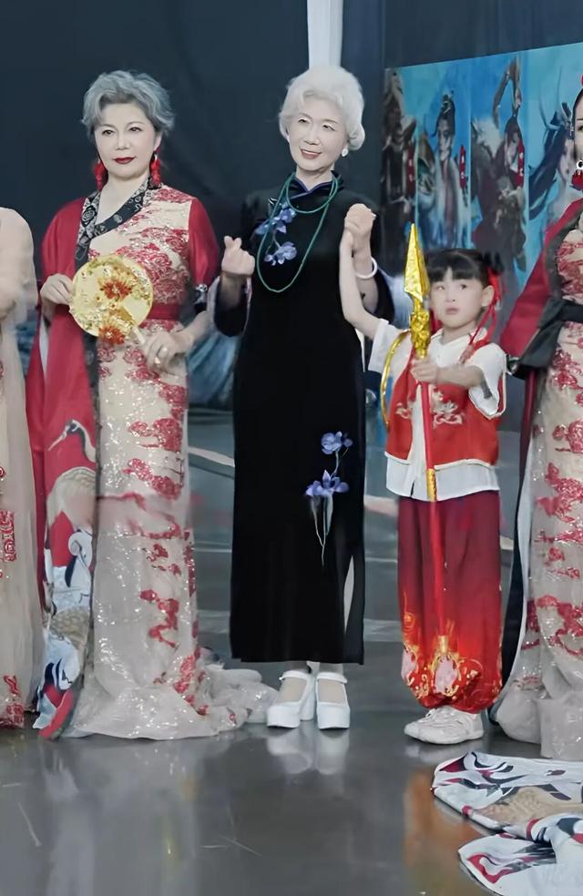 最后的叛逆，银发族闯入二次元