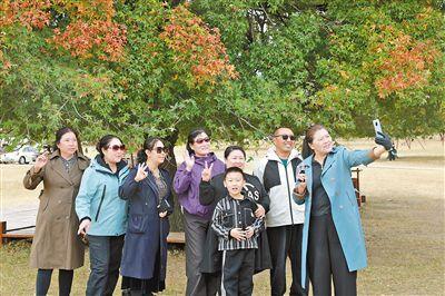 兴安盟：北疆枫韵醉游人