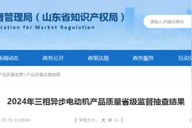 山东省市场监管局发布2024年三相异步电动机产品质量省级监督抽查结果图片