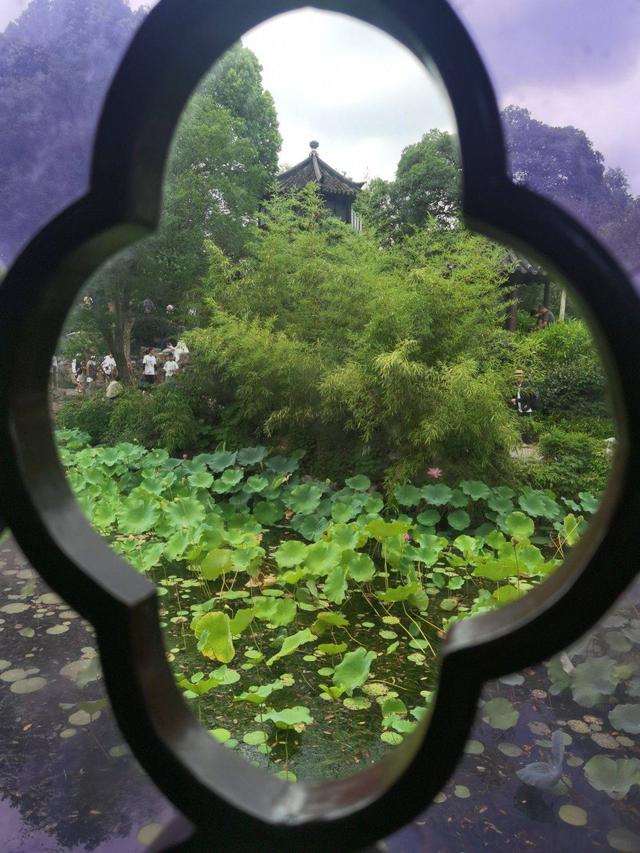 江苏苏州：透过花窗赏美景