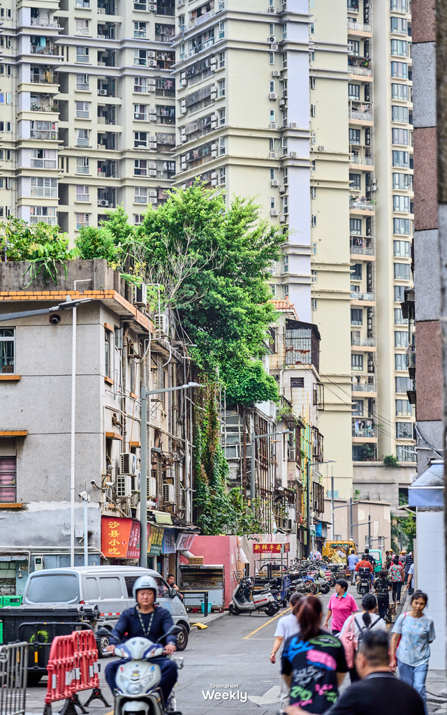 “这条路线，建议深圳人都去一遍”