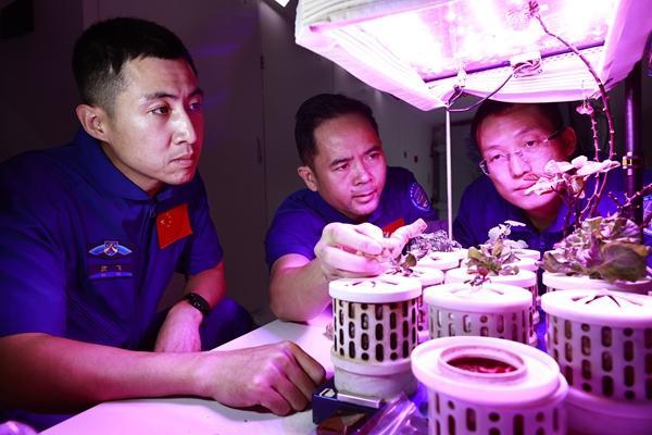 做国家需要的事，做国家需要的人