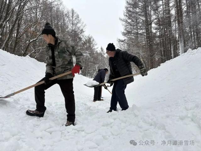 净月潭新地标冲刺收尾！1677米“森林穿越雪飘流”即将开滑！