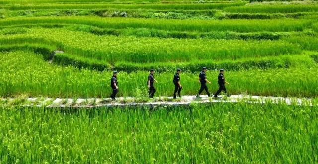 我们红河“好在的很”！来就给你安排旅游搭子