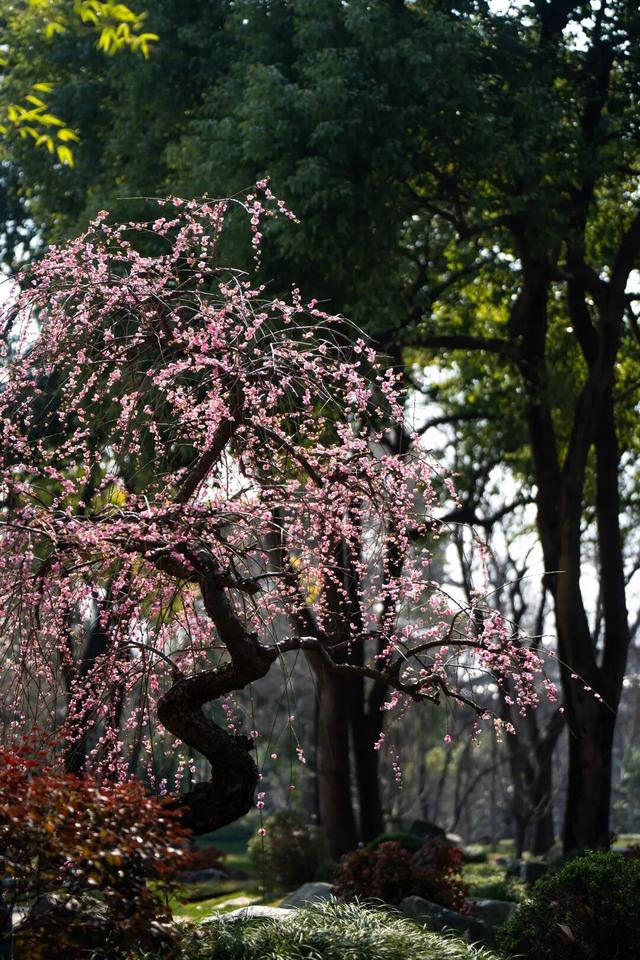 四时天工 扬州如画
