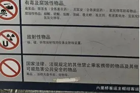 过年回家，宠物咋办？图片