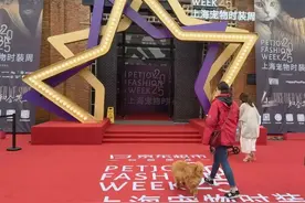 上海宠物时装周启幕！从T台走秀到咖啡派对，“它经济”解锁消费新密码图片